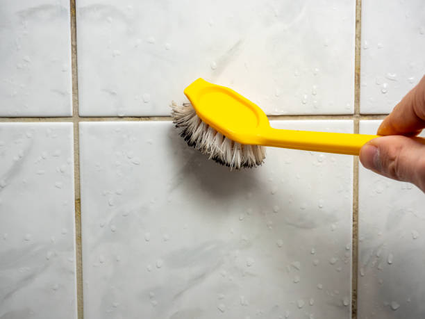 Best Basement Mold Remediation in Brooklyn Park, MD